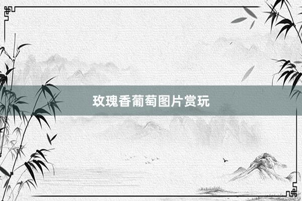 玫瑰香葡萄图片赏玩